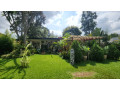 kigali-house-for-rent-in-kiyovu-small-0