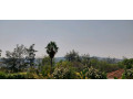 kigali-unfurnished-house-available-for-rent-in-kiyovu-small-5