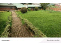 kimoronko-on-tarmac-road-unfurnished-house-for-rent-small-7