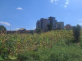 gisozi-residential-plot-for-sale-67million-small-0