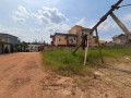 nyarutarama-small-2