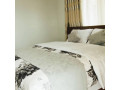 full-furnished-apartments-for-rent-in-rebero-small-7