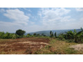 land-for-sale-in-runda-ruyenzi-small-2