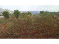 plots-in-nyamirambo-for-sale-small-9
