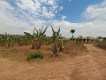 rusororo-residential-plot-for-sale-45million-small-3