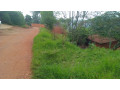 plot-for-sale-in-nyamirambo-mumena-small-8