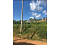 kagugu-batsinda-plot-for-sale-small-2
