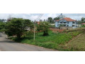 nyarutarama-residential-plot-for-sale-400million-small-5