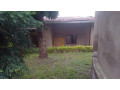 kigali-land-for-sale-in-nyamirambo-small-2