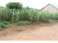 residential-plot-for-sale-in-bugesera-near-airport-hot-deal-small-1