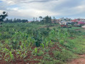 bugesera-plots-for-sale-in-karumuna-small-4