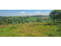 land-for-sale-at-muhazi-rwamagana-small-2