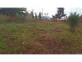plots-in-nyamirambo-for-sale-small-8