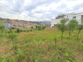 kagugu-small-3