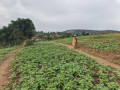 land-for-sale-at-kinyinya-gasabo-small-5