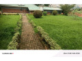 kimoronko-on-tarmac-road-unfurnished-house-for-rent-small-6