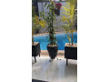 bb009-kibagabaga-very-nice-fully-furnished-apartment-for-rent-small-2