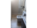 6-kibagabaga-fully-furnished-apartment-for-rent-small-10