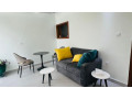 gishushu-fully-furnished-1bedroom-apartment-for-rent-at-700k480-in-good-location-small-5