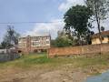 nyarutarama-small-2