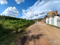 muyange-small-3