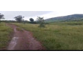 land-agricultural-for-sale-at-kayonza-small-2