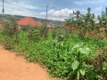 ep-098-masaka-masaka-very-biggest-and-cheapest-plot-for-sale-with-2-upi-small-3