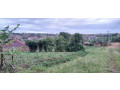 plot-for-sale-in-busanza-at-agood-place-small-2