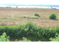 plot-for-sale-in-bugesera-near-airport-hot-deal-view-of-lake-small-1