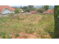 kigali-land-for-sale-in-kimironko-small-7