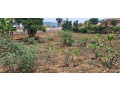 kigali-plot-for-sale-in-kanombe-rwanda-near-airport-of-kanombe-small-2