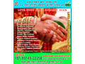 love-guru-baba-nazakat-khan-small-2