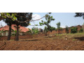 kigali-land-for-sale-in-kanombe-kabeza-small-1