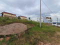 kagugu-small-2