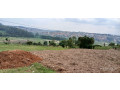 plot-for-sale-in-kinyinya-at-a-a-good-price-small-0