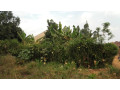 largest-land-for-sale-with-a-house-small-11