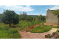 large-plot-for-sale-in-bugesera-small-0