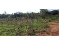 residential-plot-for-sale-in-bugesera-near-airport-hot-deal-small-0