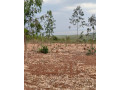 bugesera-plots-for-sale-in-kanzenze-small-1