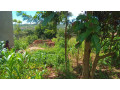 large-plot-for-sale-in-bugesera-small-8