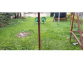 kigali-big-plot-for-sale-in-nyarutarama-small-3