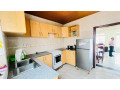 gishushu-near-lemigo-hotel-furnished-house-for-rent-small-1