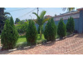 kigali-house-for-sale-in-nyamirambo-small-0