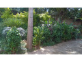 kiyovu-plot-for-sale-small-5