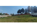 nyarutarama-plot-for-sale-500m-small-2