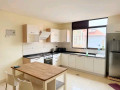 kibagabaga-nice-fully-furnished-apartment-small-13
