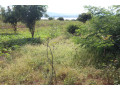 land-for-sale-in-bugesera-nyamata-town-of-rwanda-small-0