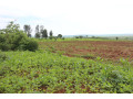 agriculture-land-for-sale-in-bugesera-gashora-rwanda-access-on-water-small-0