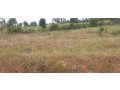 hotel-land-for-sale-in-muhazi-rwanda-small-1