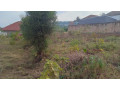 plots-in-nyamirambo-for-sale-small-7